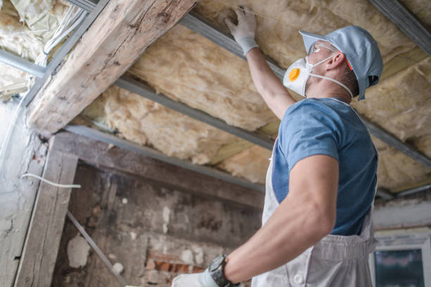 Best Specialized Insulation Services in Bogalusa, LA