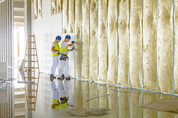 Best Energy Efficiency Insulation in Bogalusa, LA